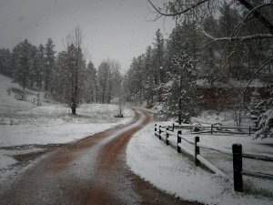DSCN0198.1