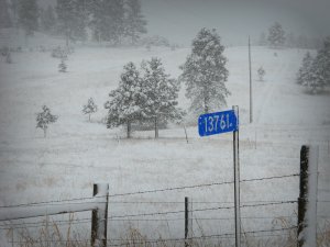 DSCN0223.1