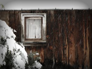 DSCN0241.1
